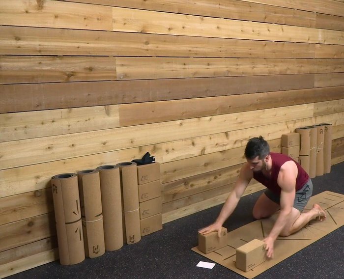 Come into a plank position with hands on blocks.