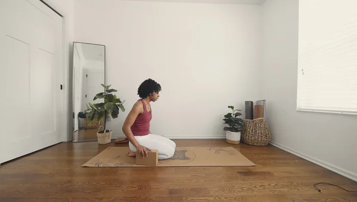 Transition from Downward-Facing Dog to a Low Lunge.