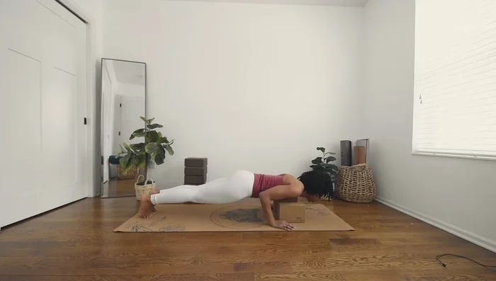 Perform Chaturanga, focusing on core engagement and proper form.