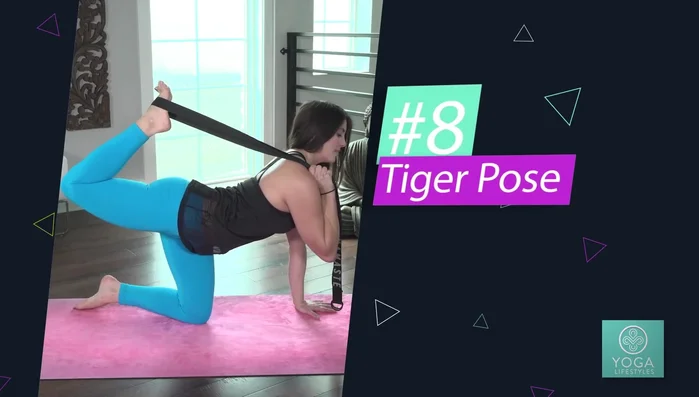 Tiger Pose: Start in tabletop position. Lift one leg, curling it towards your head and bringing your chin up. Use the strap around the bottom of your foot for support and to deepen the quad and spine stretch.