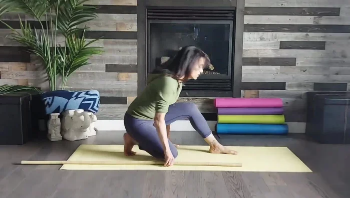 Anjanayasana Pose with Stick (other side): Repeat step 1 with the right foot forward.