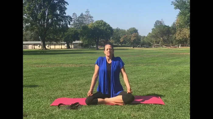 Shoulder and Back Stretch (Hands Clasped in Front): Clasp your hands in front, rounding your shoulders. Breathe deeply, feeling the stretch.
