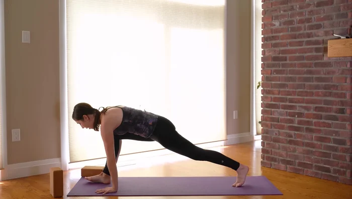 Downward-Facing Dog (Adho Mukha Svanasana): Step back to downward-facing dog.