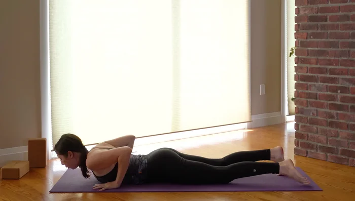 Plank Pose, Cobra Pose, Child’s Pose: Flow from downward-facing dog into plank, cobra, and child’s pose.