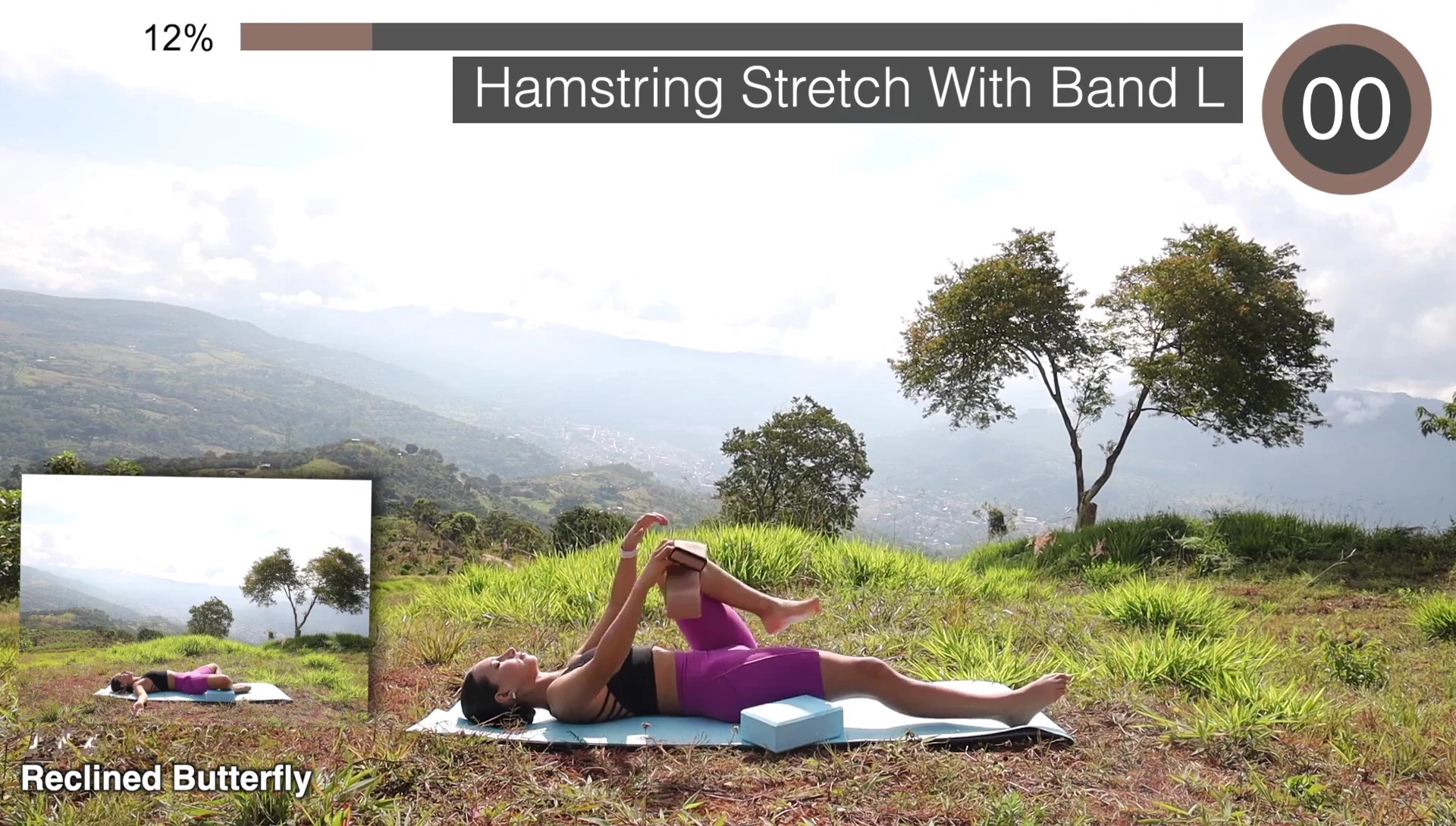 Reclined butterfly pose with blocks under knees.