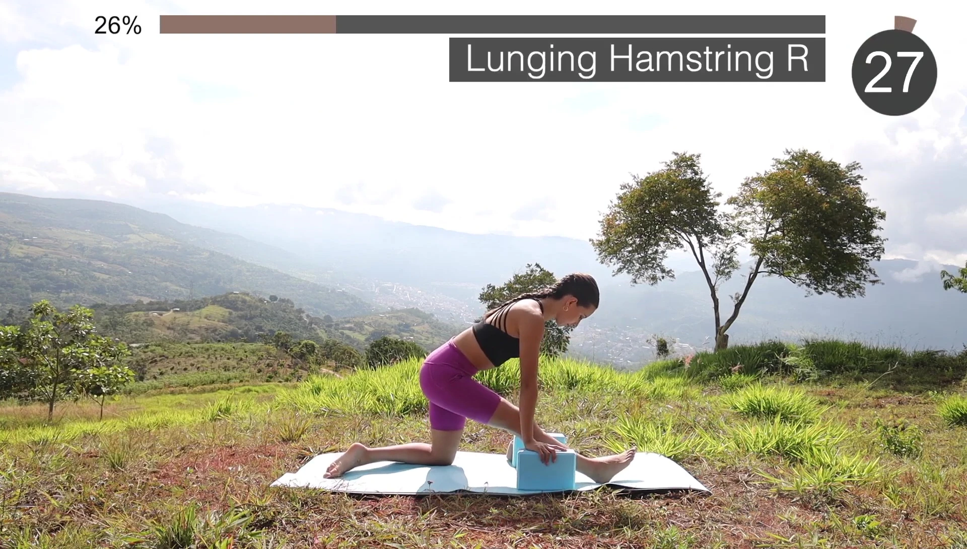 Lunging hamstring stretch using blocks.