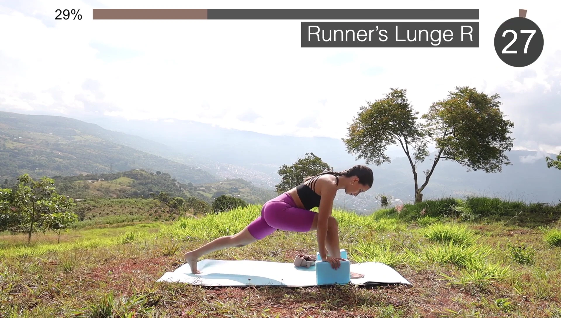 Runner's lunge with blocks for support.