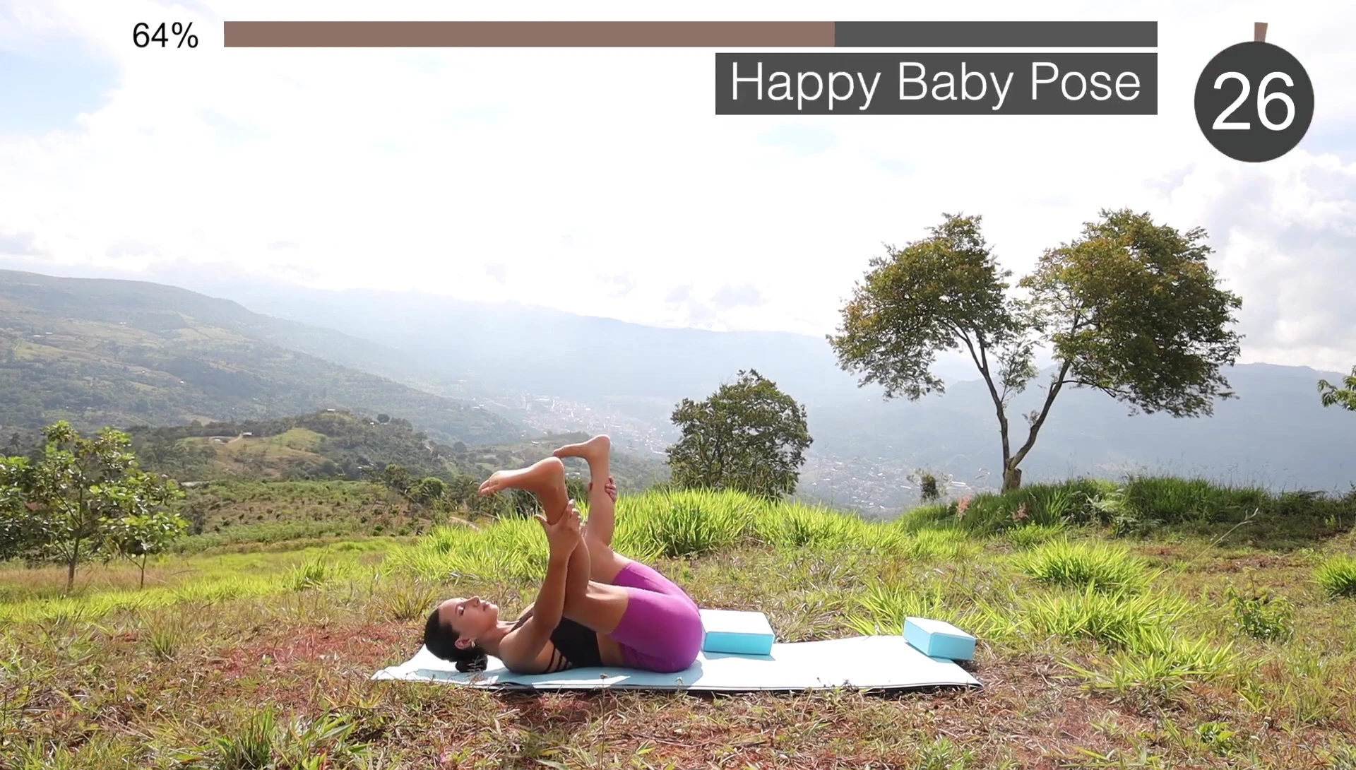Happy baby pose.
