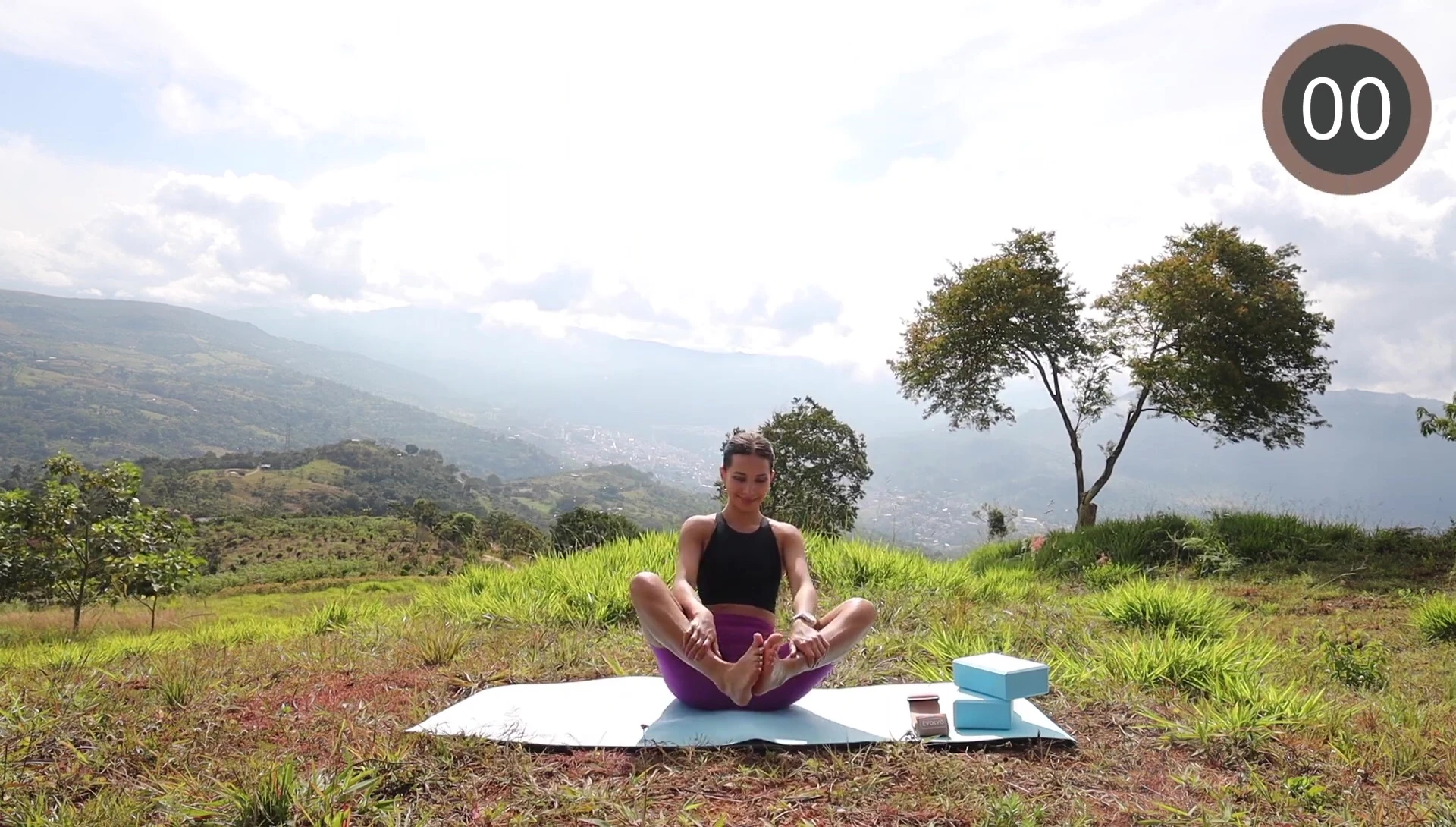 Person performing butterfly stretch with blocks under knees.