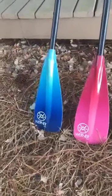 Close-up showcasing the dual-sided gradient color of the Werner Zen paddle.