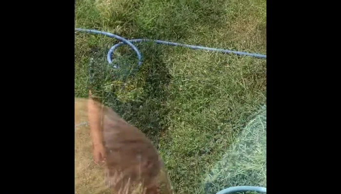 Rinse the mat thoroughly with fresh water to remove all soap residue.