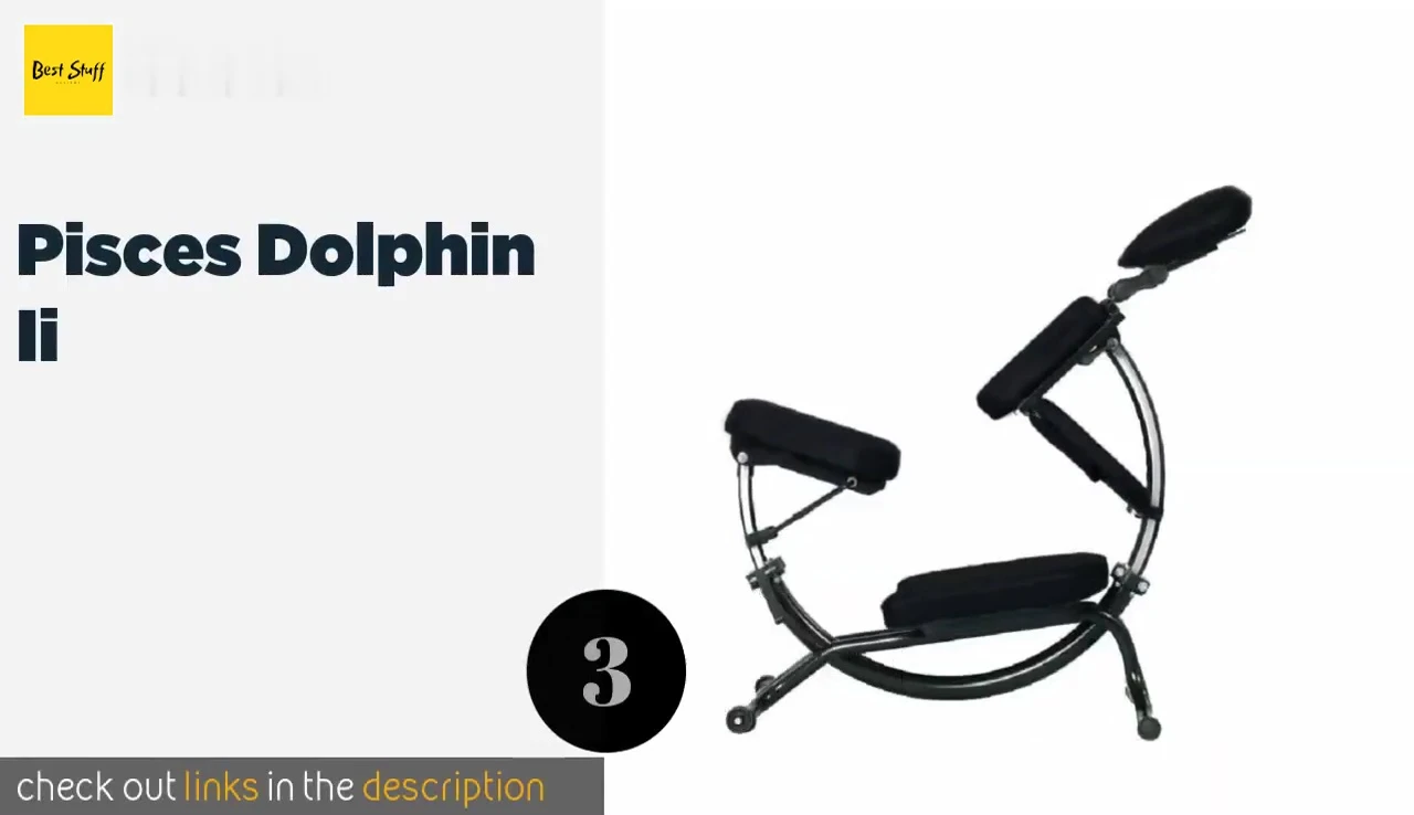 Pisces Dolphin E chair