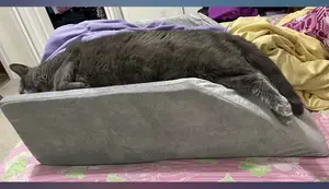 LightEase Double Wedge Pillow Review: Post-Surgery Leg Elevation Comfort