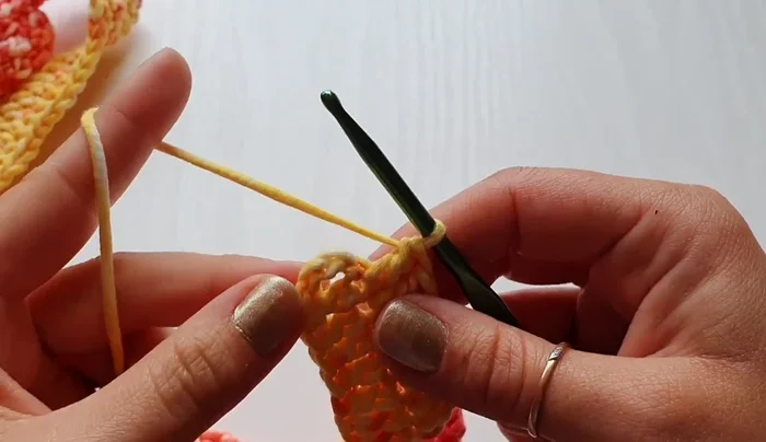 Slip stitch to close the round. Fasten off and weave in the ends.